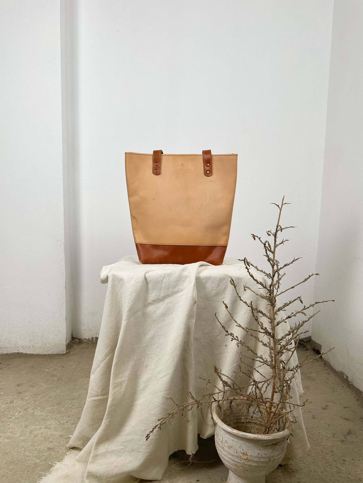 Handpainted Chinese Tote Bag